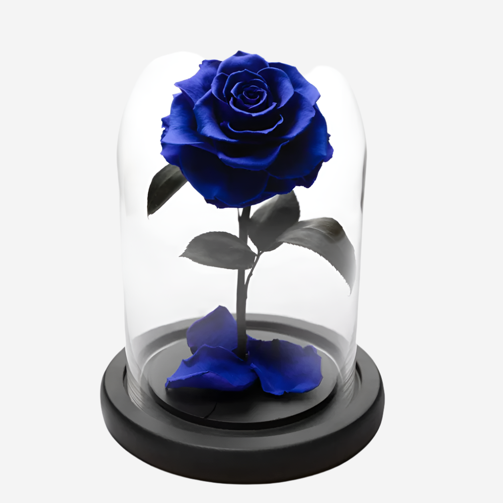 Forever Rose Blue