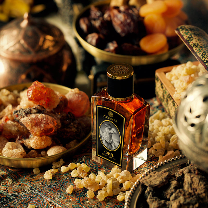 Zoologist Camel Zoologist