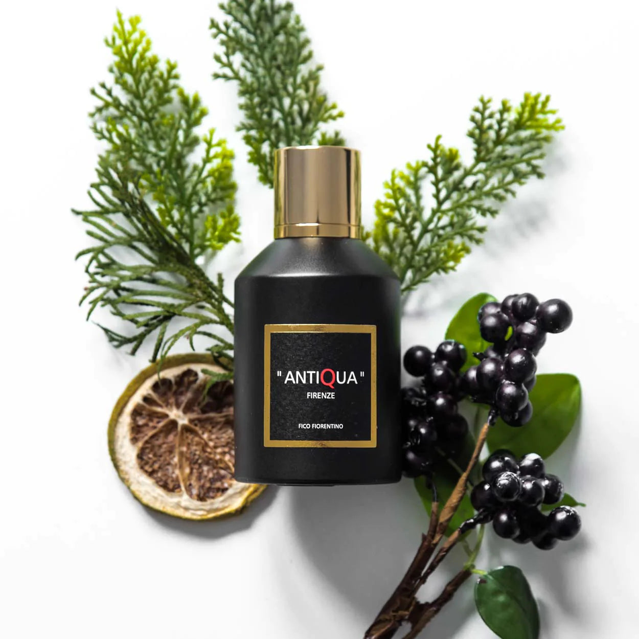 Antiqua Firenze Fico Fiorentino perfume