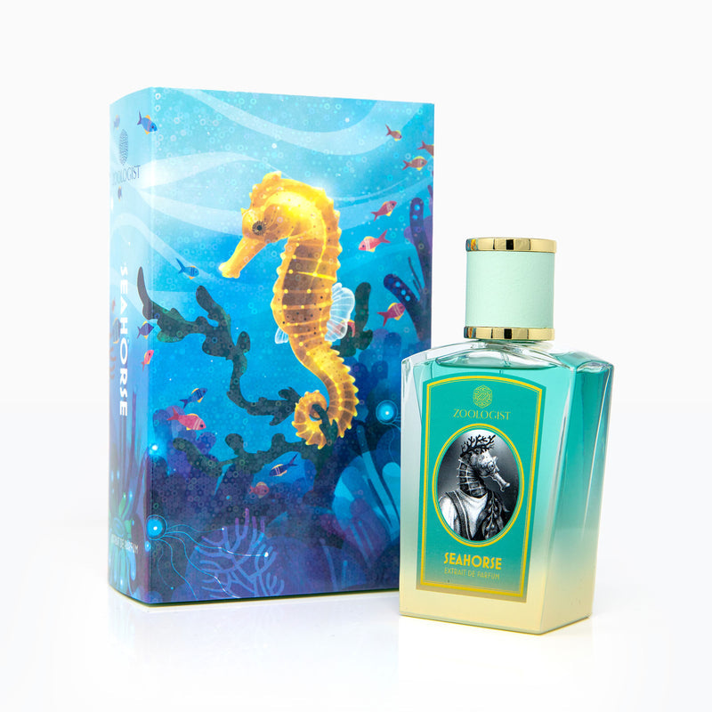 Zoologist Seahorse Limited Edition Zoologist